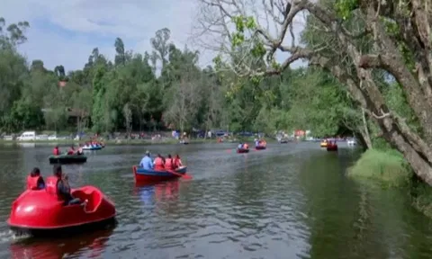Visuals from Kodaikanal (ANI)