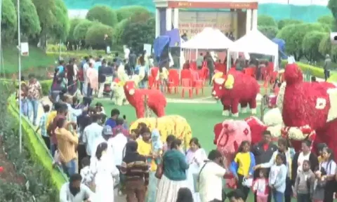 Ooty flower show (Screengrab)