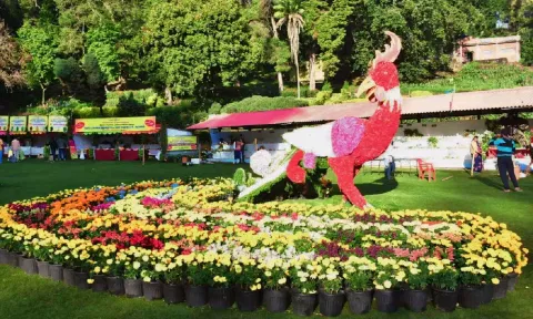 A floral display at Bryant Park in Kodaikanal on Sunday&nbsp;
