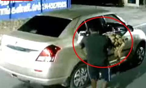 CCTV footage showed mysterious persons steals goats (Thanthi TV)