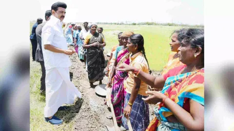 MK Stalin interacts with&nbsp;