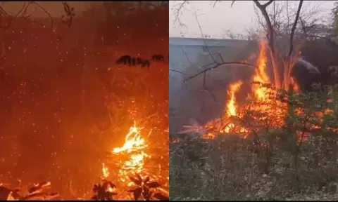 Visuals of the fire that broke out in an empty land near Meenambakkam Railway Station on May 29 evening (Screengrab)