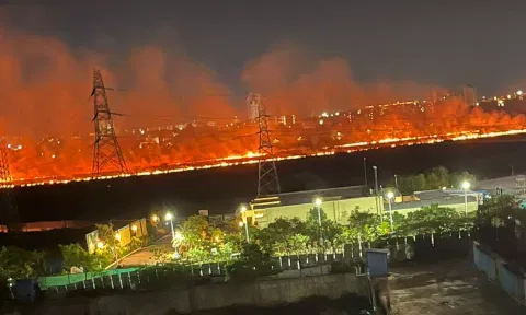Fire Accident near Pallikaranai marshland