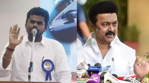 L-R: Tamil Nadu BJP chief K Annamalai; Tamil Nadu Chief Minister and DMK chief MK Stalin (DT Next File Photos)