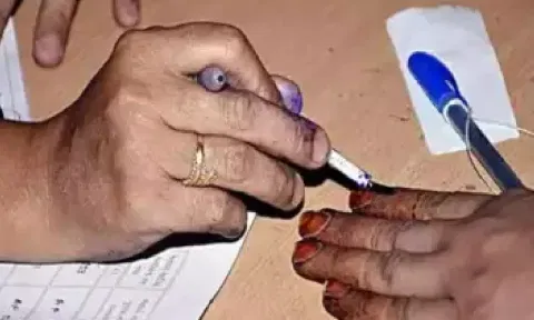 Representative Image (ANI)