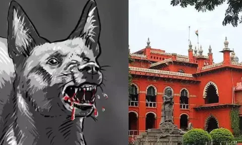 Illustration of Dog Bite; Madras High Court&nbsp;