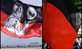 AIADMK and DMK flag