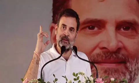 Congress MP Rahul Gandhi (ANI)