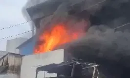 Representative image (Photo/ANI)