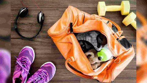Gym bag