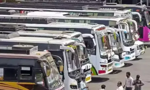 Omni Buses