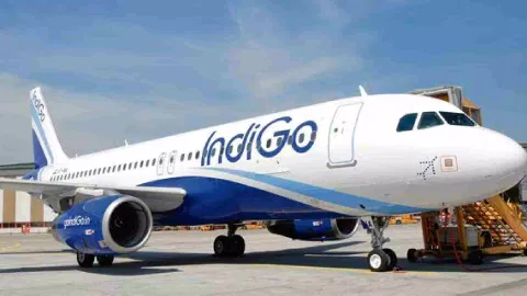 IndiGo
