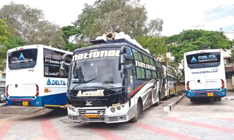 Omni Buses