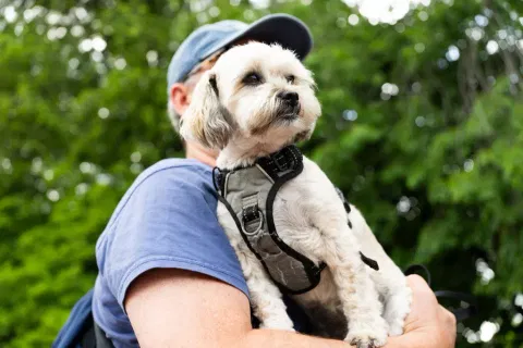 Are we loving our pets to death?