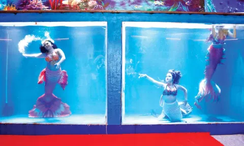 Marine Expo 2024, Chennai’s largest aquatic attraction