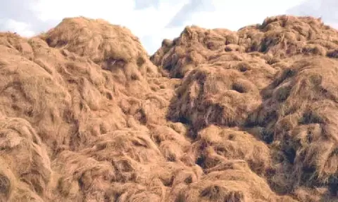 Pollachi's coir units in distress amid industry's continuous downward spiral