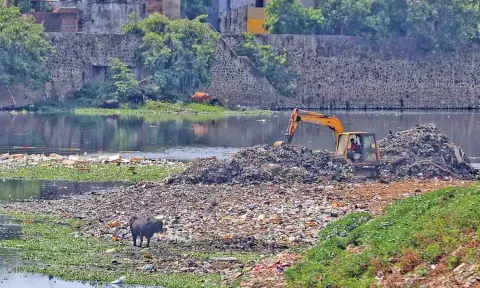 Cooum River (Photos: Justin George, Hemanathan M)