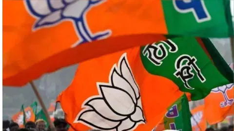 BJP Flag