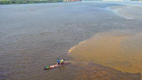 Kosathalayar river
