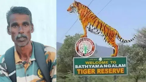 D Velumani passed away in Sathyamangalam Tiger Reserve&nbsp;