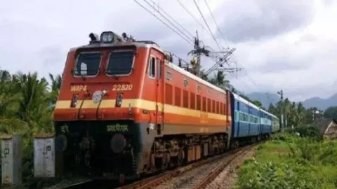MEMU train