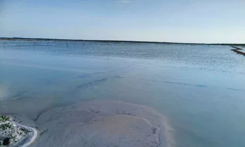 Rain Water Stagnant in the Marakkanam Salt Pans (Daily Thanthi)