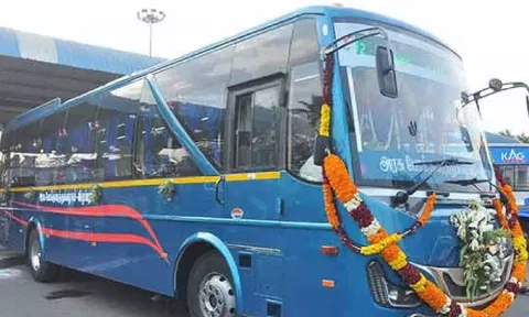 Government Buses