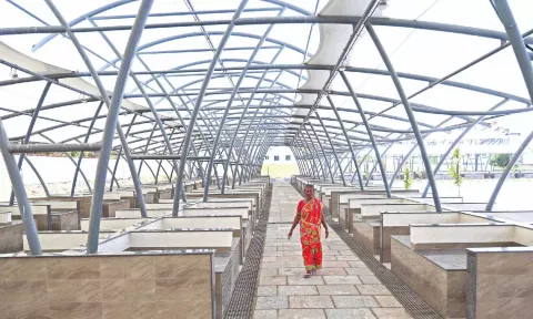 A fisherwoman at the new market opened on Loop Road on Monday