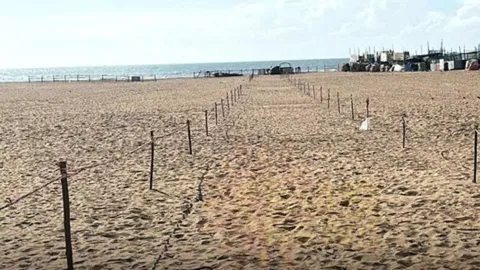 Elliot Beach (Daily Thanthi)