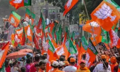 BJP Flag (PTI)