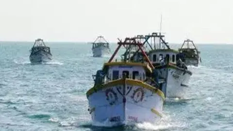 Mechanised Boat&nbsp;