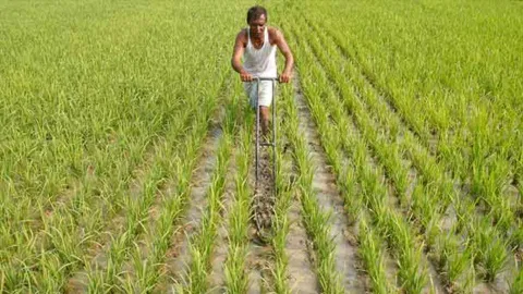Farmer working in the field&nbsp;