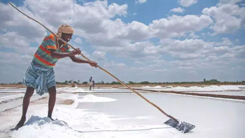 salt pan worker&nbsp;