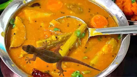 Representative image of Lizard in food&nbsp;