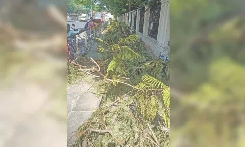 Tree branches, pruned by the corporation, were left uncleared on the pavement on EVR Periyar Road