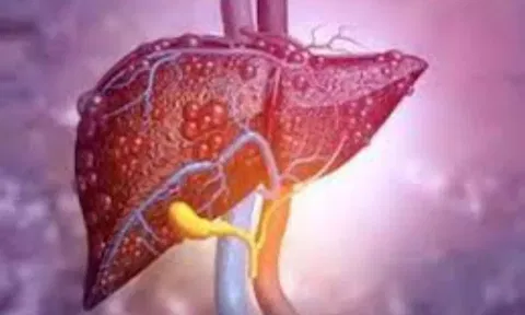Liver (IANS)