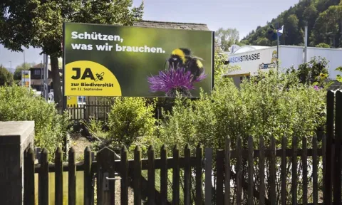 Birds, bees and ballots: Swiss voters reject plan to better protect the country’s biodiversity