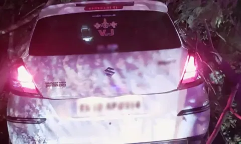 visual of the car