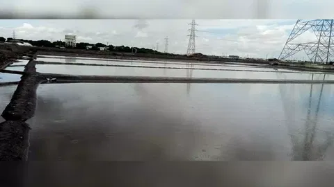 A salt pan in Thoothukudi inundated with rainwater