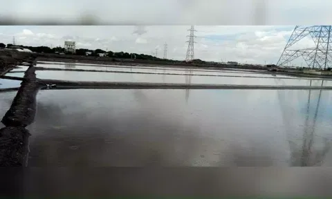 A salt pan in Thoothukudi inundated with rainwater
