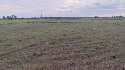 Parched land in Thanjavur