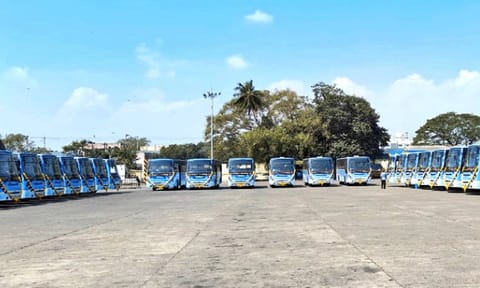 Buses