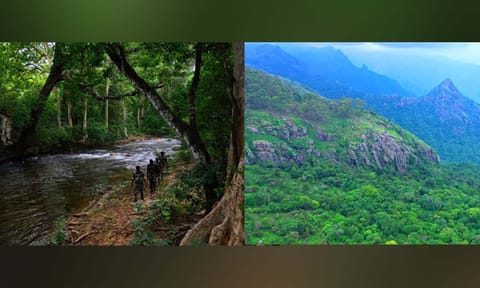 Explore paths less travelled, bask in nature's glory, and enjoy unparalleled views. (Photo: Trek Tamil Nadu)