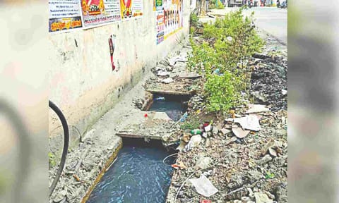 Untreated sewage discharged into stormwater drain on Oil Mill Road, Iyyapanthangal