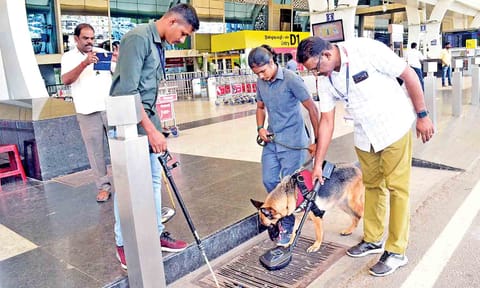 File picture of a sniffer dog in service at Coimbatore International Airport following recent bomb threat&nbsp;