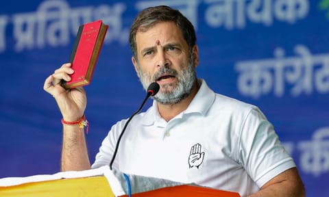 Rahul Gandhi (PTI)&nbsp;