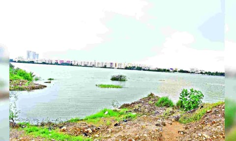 Pallikaranai marshland