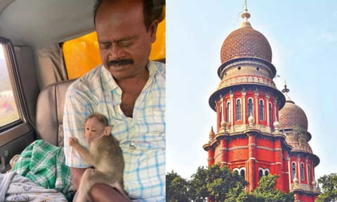 (L-R) Dr Vallaiappan caring for paralysed baby monkey Muthalali, Madras High Court&nbsp;