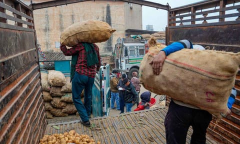 Porters unload potatoes at Agricultural mandi (wholesale market) Farmer/ vegetable market (PIT)