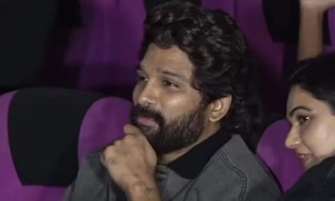 Allu Arjun&nbsp; (PTI)
